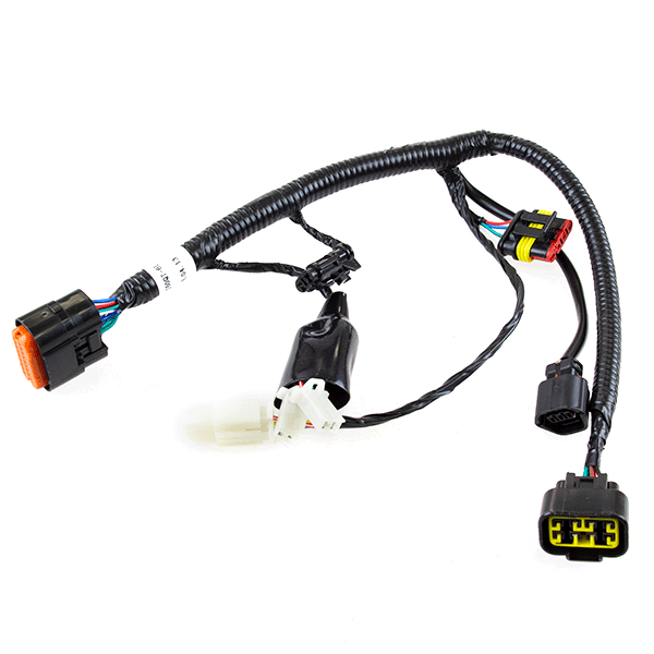 EFI Wiring Loom for LJ50QT-5L, LJ50QT-6L