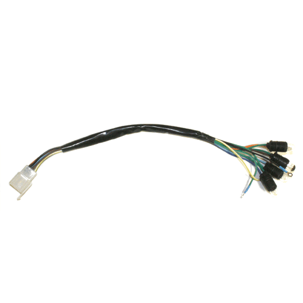 Speedo Wiring Loom for JL50QT-5