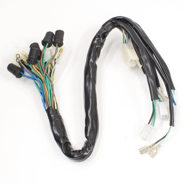 Speedo Wiring Loom