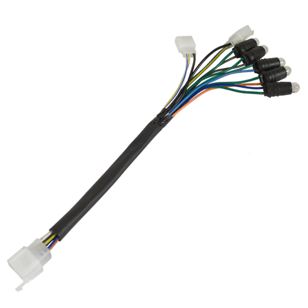 Speedo Wiring Loom