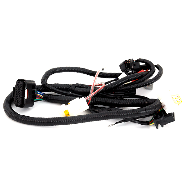 EFI System Wiring Loom for TD125-43-E4