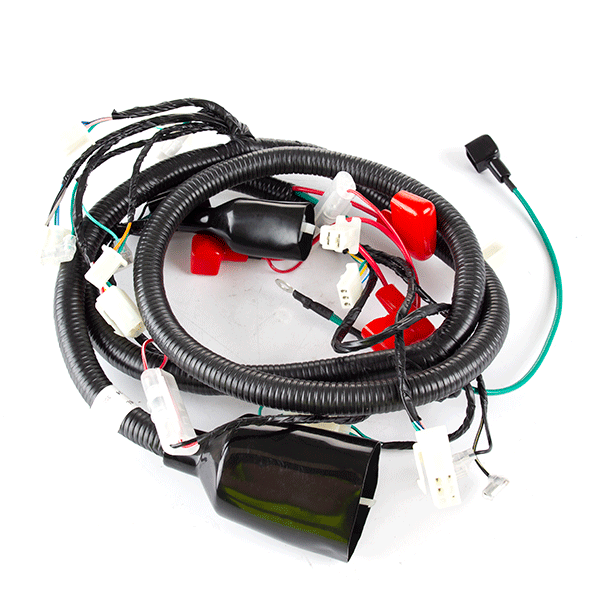 Main Wiring Loom for LJ50QT-5L, LJ50QT-6L