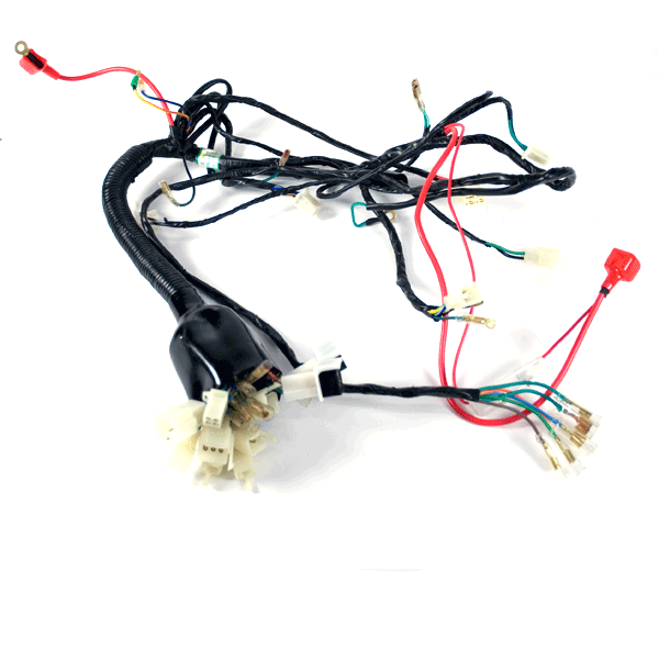 Wiring Loom for JS250ATV-5