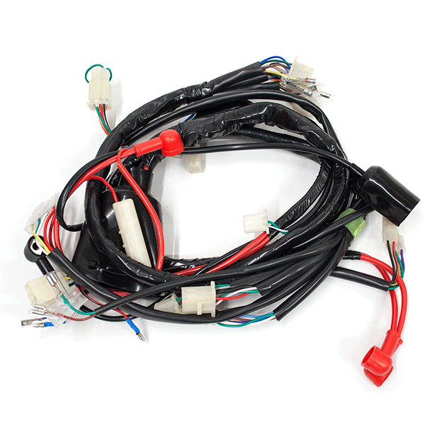 Wiring Loom for ZN50QT-32A, DB50QT-32A