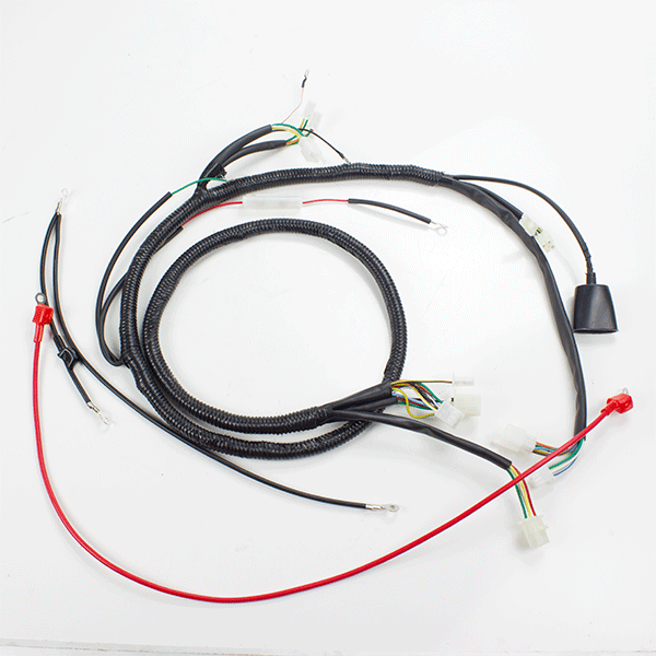 Wiring Loom for SB125T-23, SB125T-23B