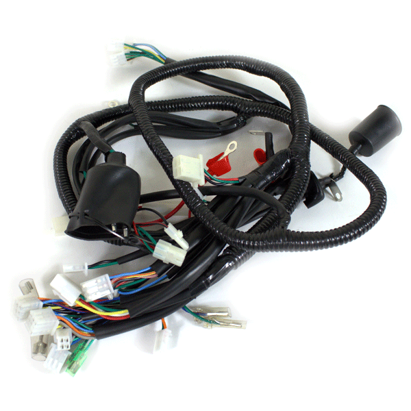 Wiring Loom Non DRL for WY50QT-110