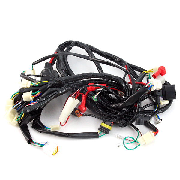 Wiring Loom for ZN125T-8F