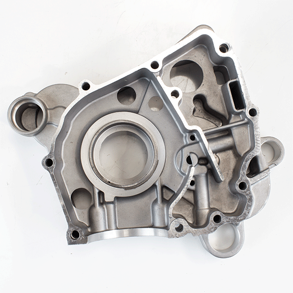 125cc Scooter Centre Engine Casing LJ1P52QMI