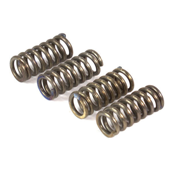 Clutch Springs JS171FMM for JS250ATV-3A, JS250ATV-5