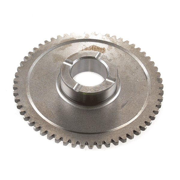 Starter Clutch (Main Gear)