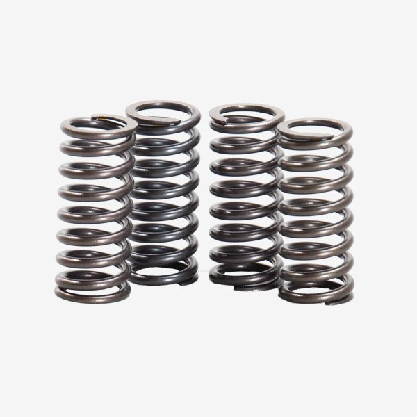 Clutch Springs (set)