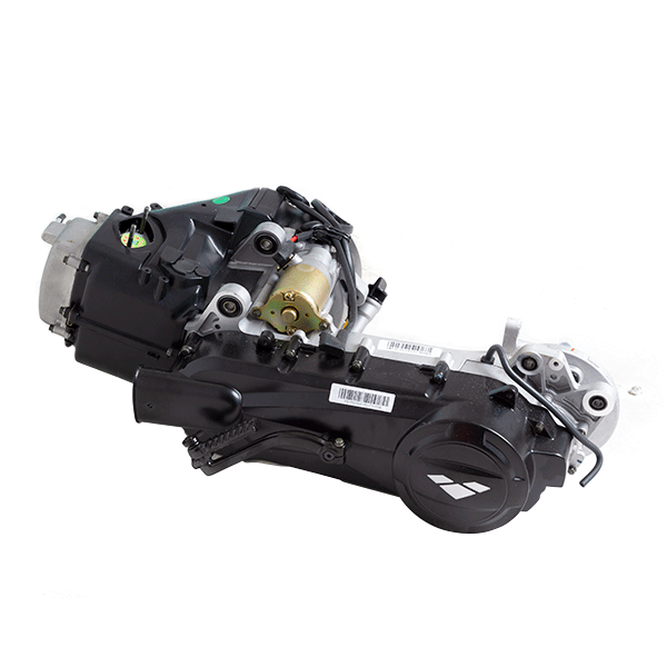 125cc Scooter Engine for ZS125T-48