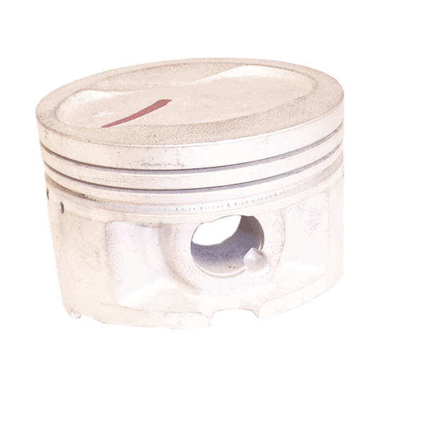 Piston 171FMM for JS250ATV-3A JS250ATV-5