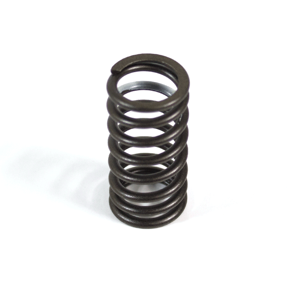 125cc Motorcycle Valve Spring 156FMI-5