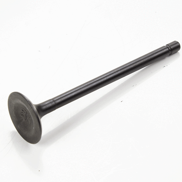 Exhaust Valve 158FMI(OHC) ZS158FMI-B for KS125-24, ZS125-48A