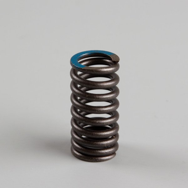 Valve Spring for LJ125T-18, LJ125T-18-E5