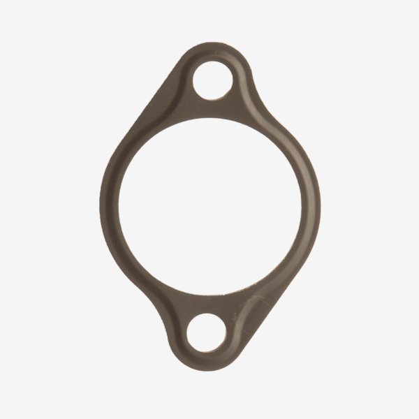 Cam Chain Tensioner Gasket