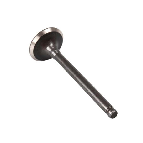 Exhaust Valve for ZN125T-8F, ZN125T-8F-E5