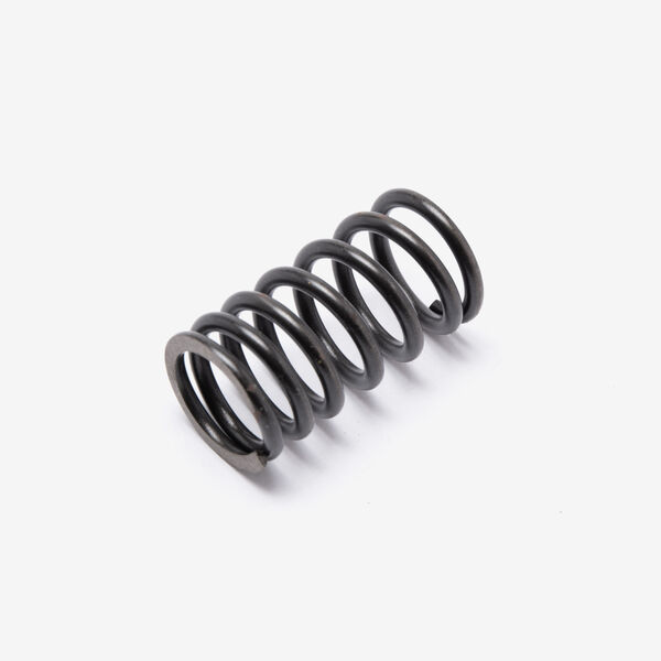 Valve Spring