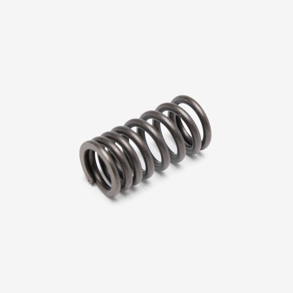 Valve Spring