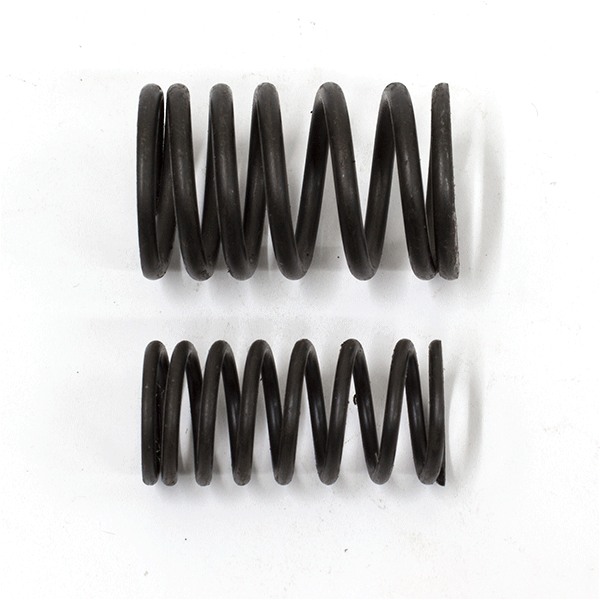 Valve Spring 139FMA 139FMB for ST50-3TR, ST50-3SM