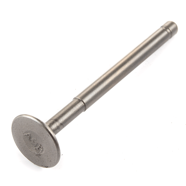 Exhaust Valve