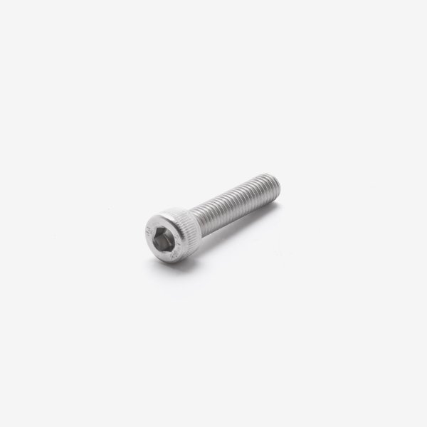 Footpeg Bolt M8 x 35mm for LJ300T-18A-E5