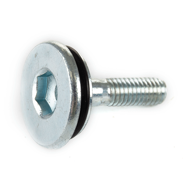 Cam Chain Tensioner Bolt