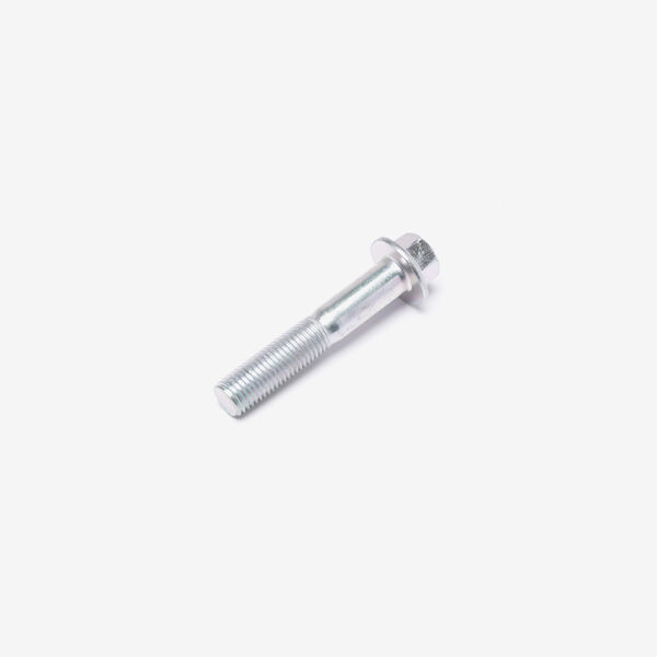 Bolt M10 x 55mm