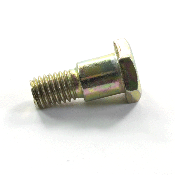 Side Stand Bolt